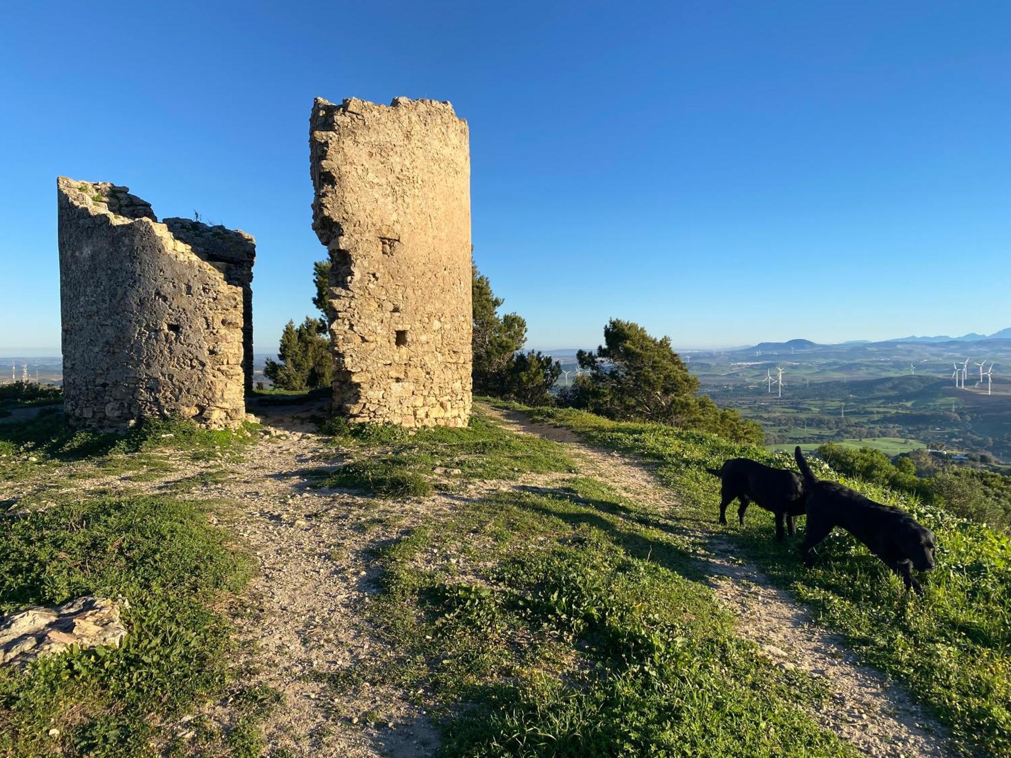 Casita De La Suerte Apartment Medina-Sidonia Bagian luar foto